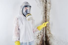 University Gardens, NY Mold Removal Services Company